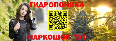 скорость Кандалакша