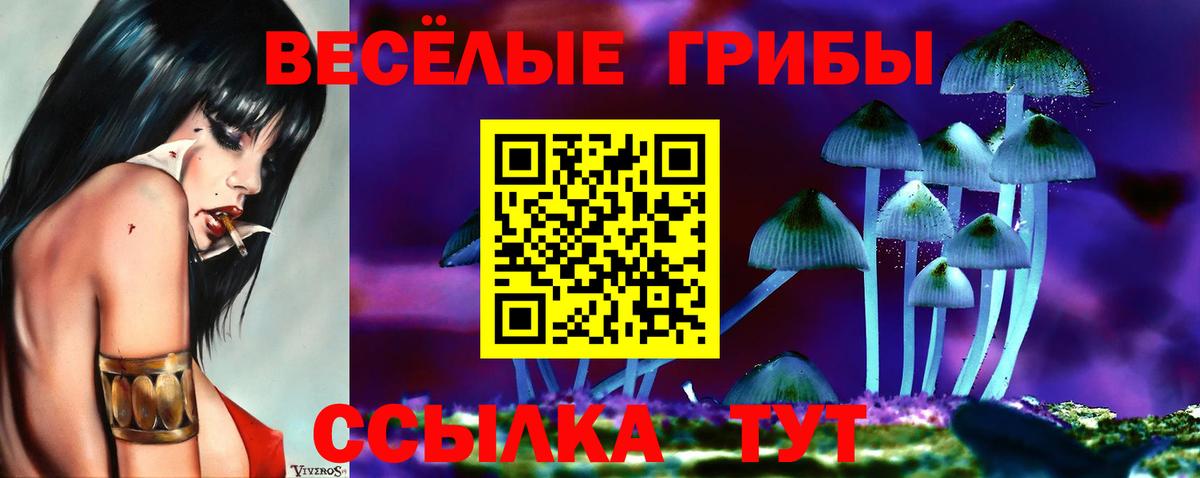 Воронеж  Псилоцибиновые грибы Magic Shrooms  Вход с VPN 
